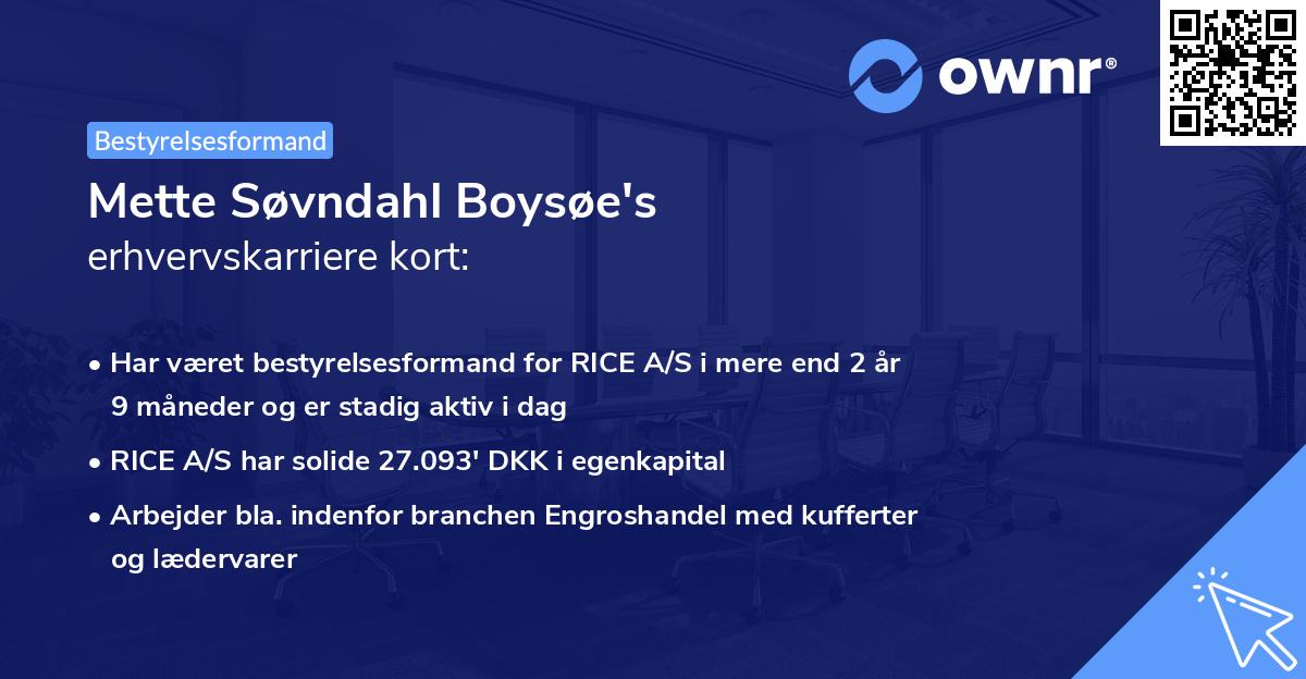 Mette Søvndahl Boysøe's erhvervskarriere kort