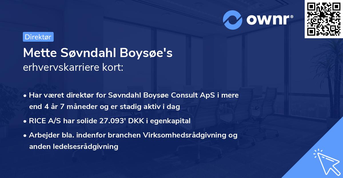 Mette Søvndahl Boysøe's erhvervskarriere kort