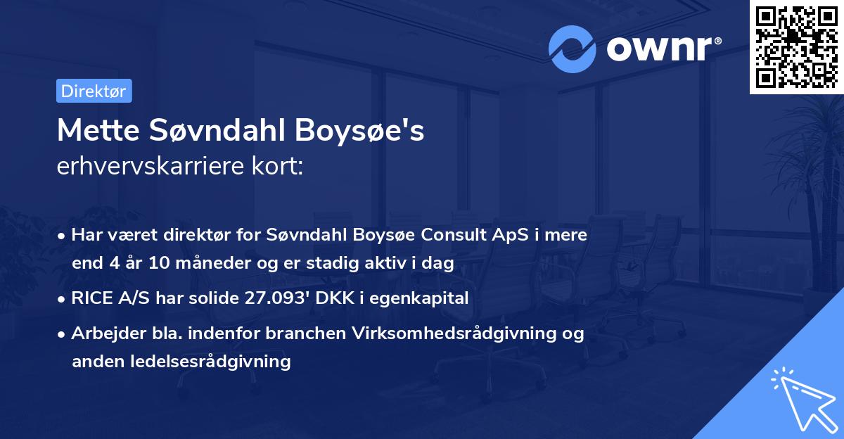 Mette Søvndahl Boysøe's erhvervskarriere kort
