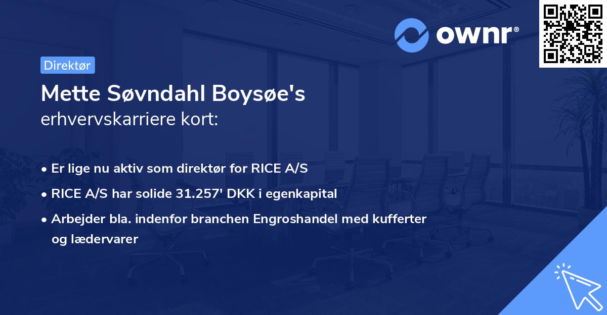 Mette Søvndahl Boysøe's erhvervskarriere kort