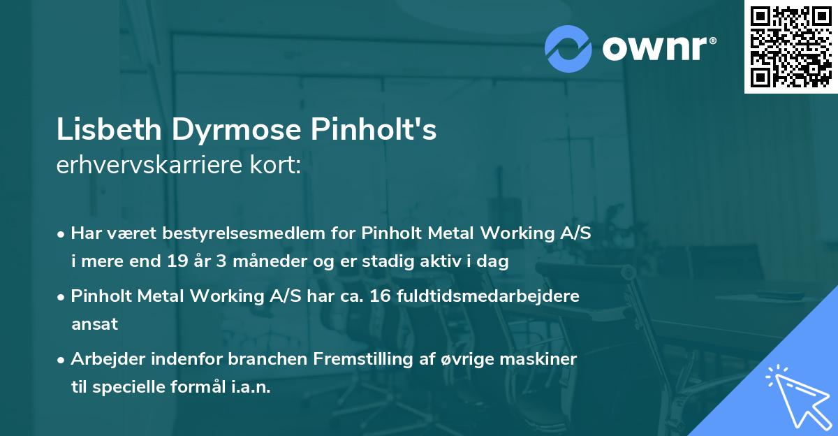 Lisbeth Dyrmose Pinholt's erhvervskarriere kort