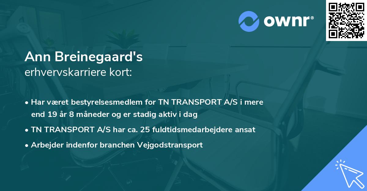 Ann Breinegaard's erhvervskarriere kort