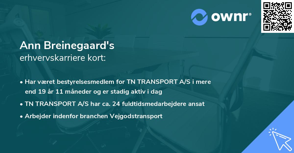 Ann Breinegaard's erhvervskarriere kort