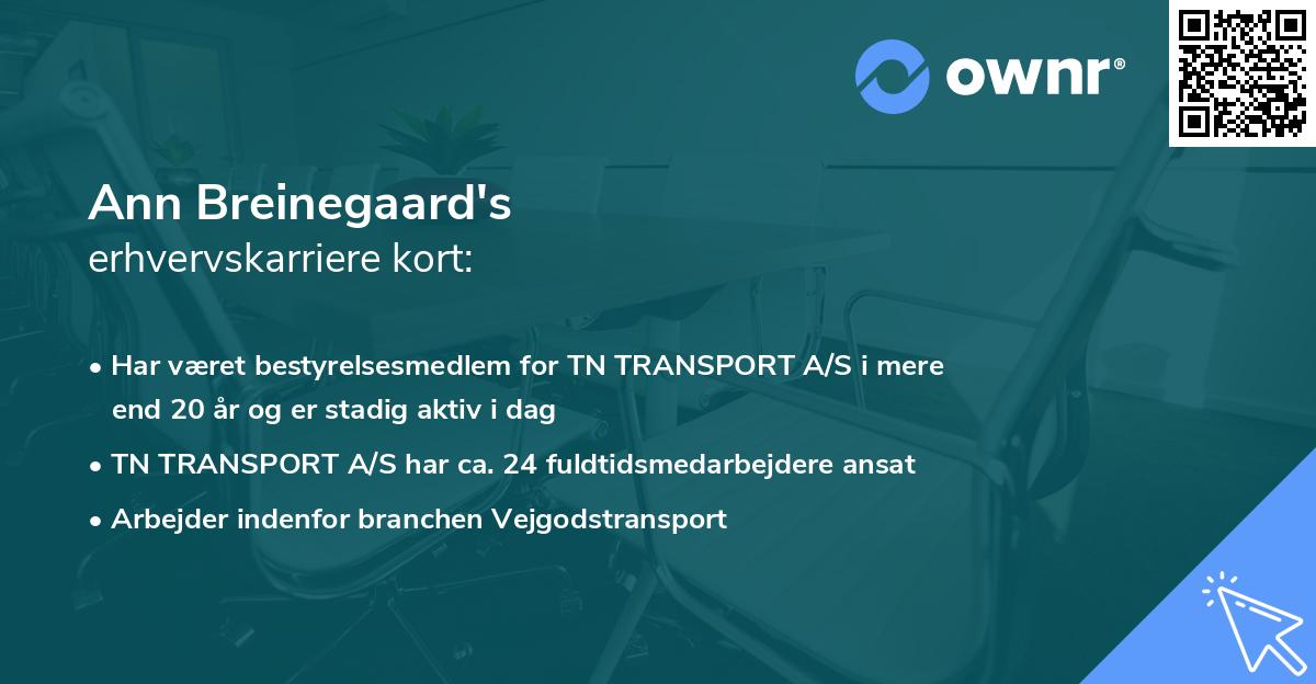 Ann Breinegaard's erhvervskarriere kort