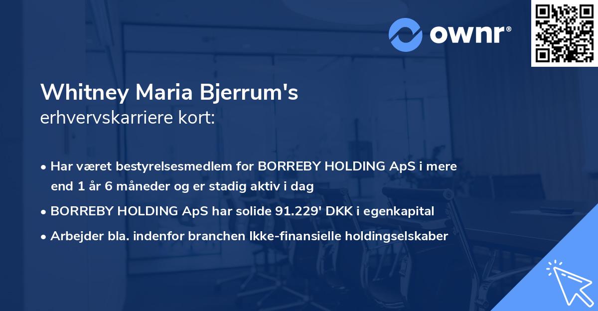 Whitney Maria Bjerrum's erhvervskarriere kort