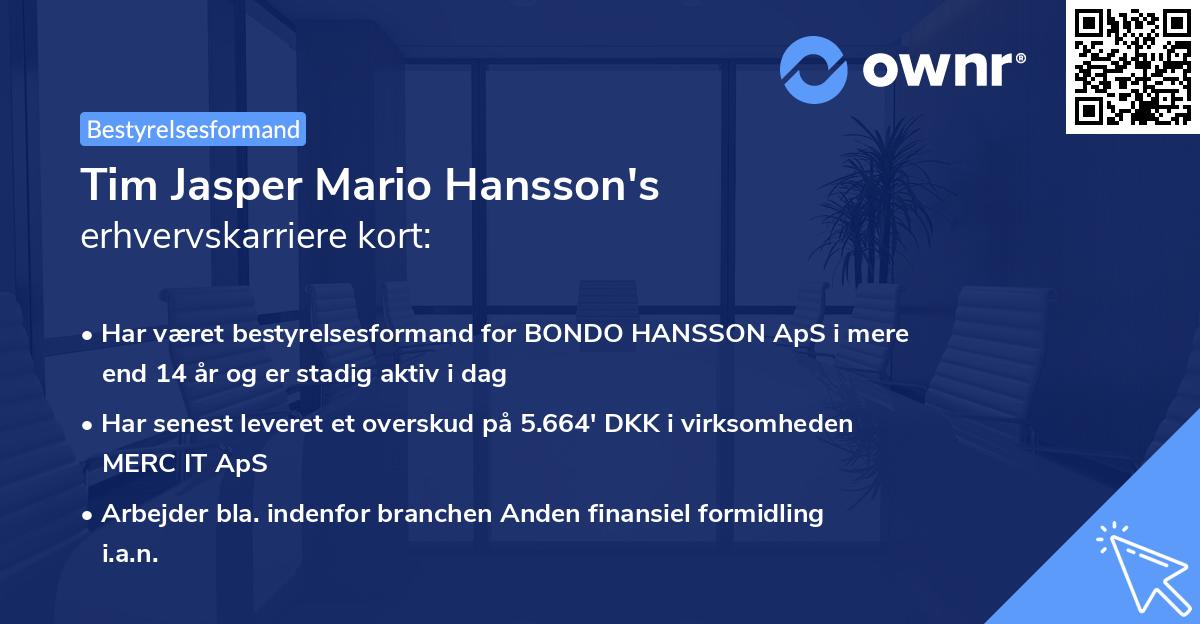 Tim Jasper Mario Hansson's erhvervskarriere kort