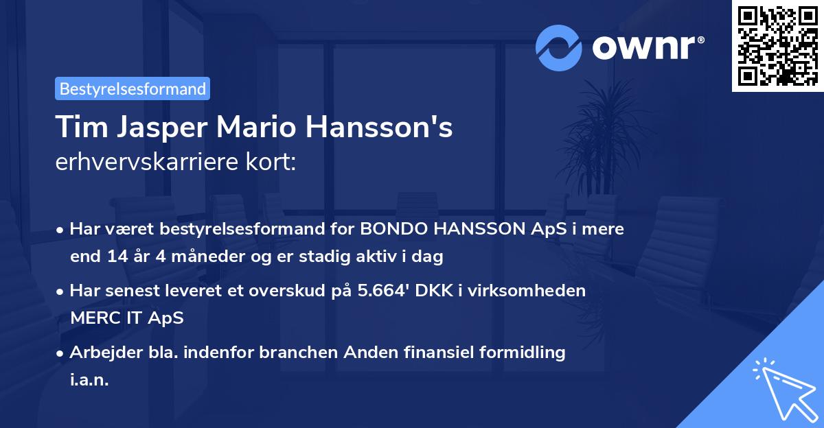 Tim Jasper Mario Hansson's erhvervskarriere kort