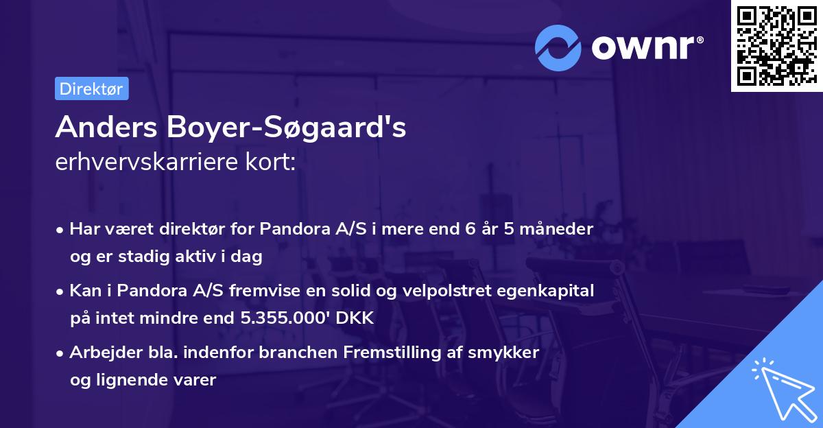 Anders Boyer-Søgaard's erhvervskarriere kort