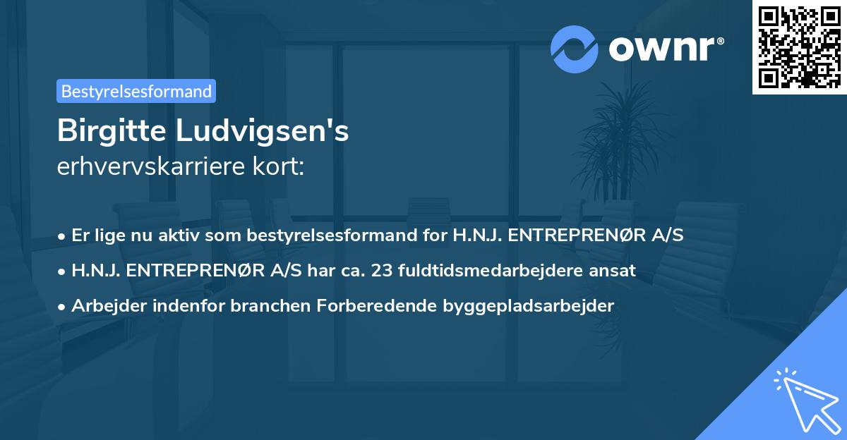 Birgitte Ludvigsen's erhvervskarriere kort