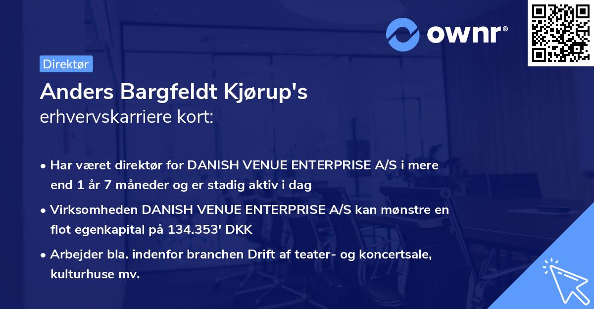 Anders Bargfeldt Kjørup's erhvervskarriere kort