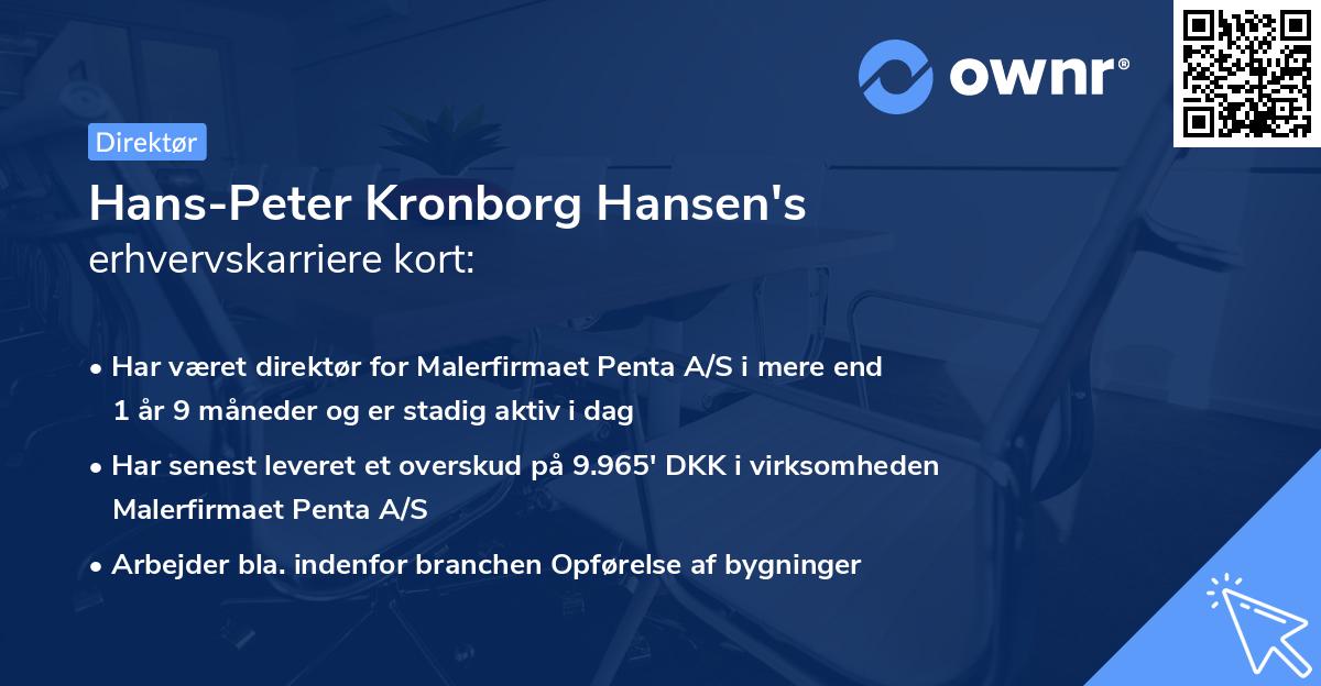 Hans-Peter Kronborg Hansen's erhvervskarriere kort