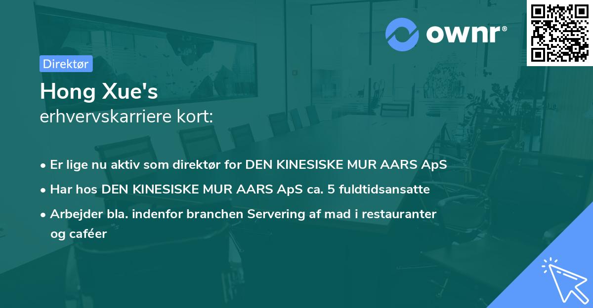 Hong Xue's erhvervskarriere kort