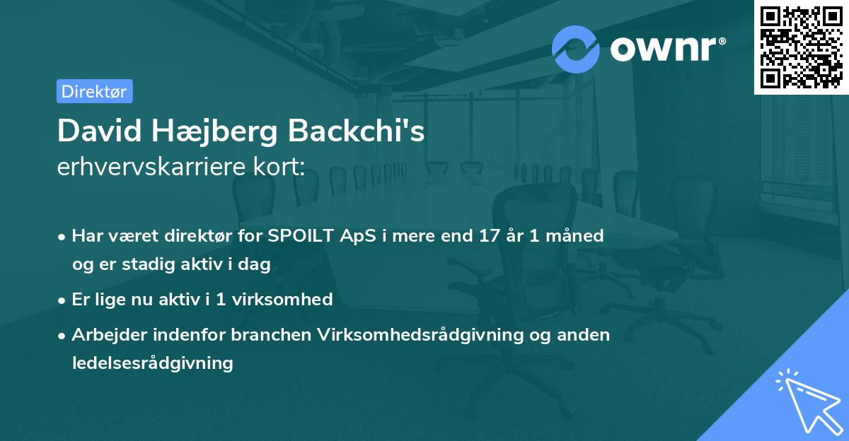 David Hæjberg Backchi's erhvervskarriere kort