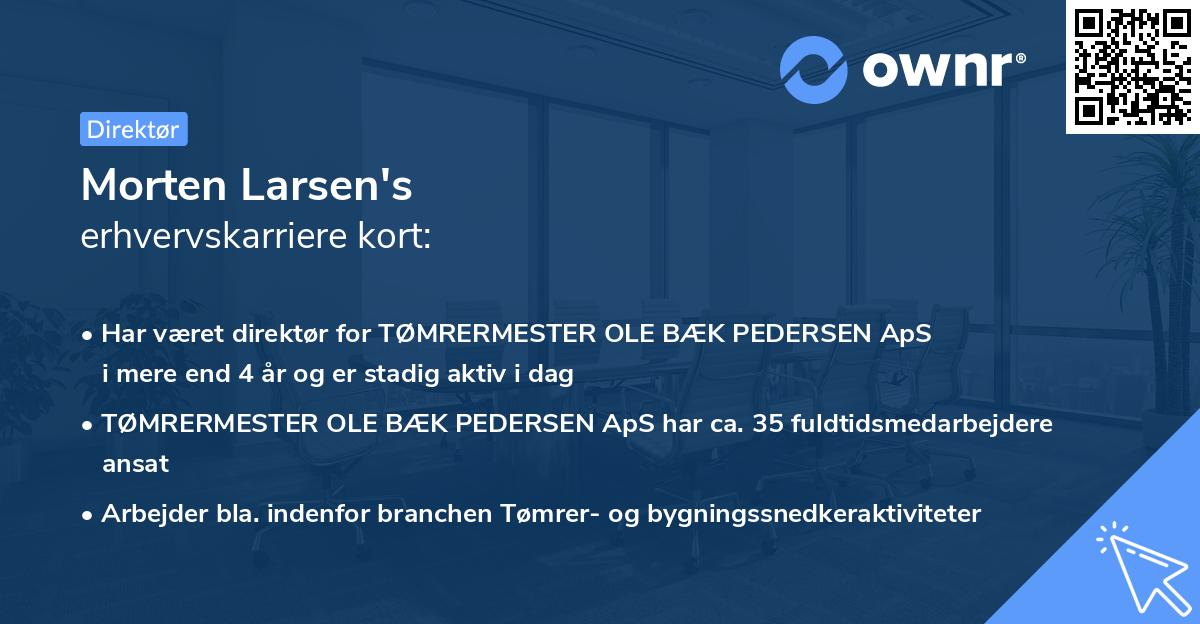 Morten Larsen's erhvervskarriere kort