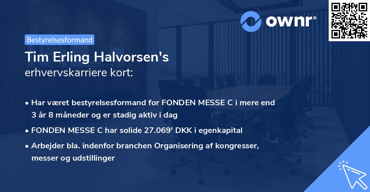 Tim Erling Halvorsen's erhvervskarriere kort