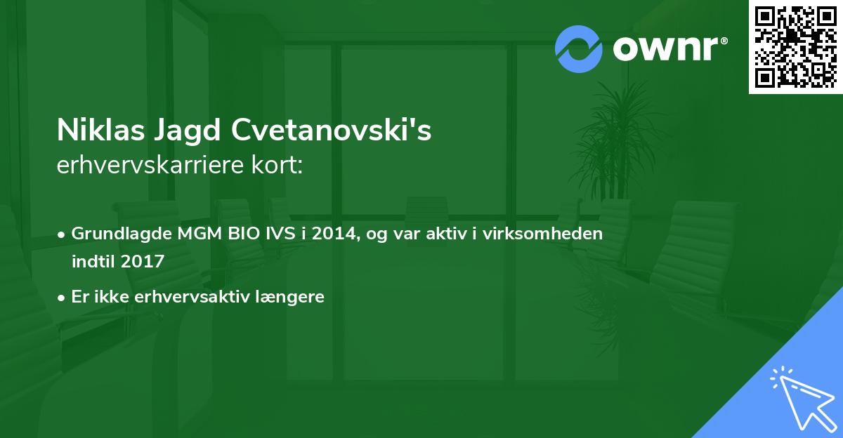 Niklas Jagd Cvetanovski's erhvervskarriere kort