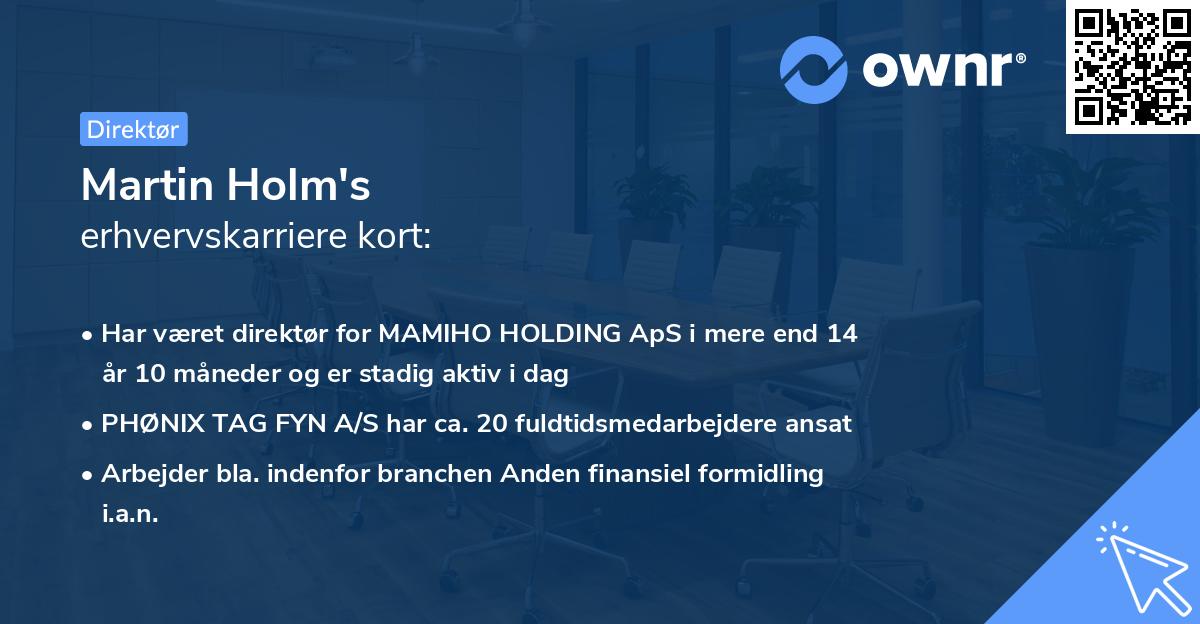 Martin Holm's erhvervskarriere kort
