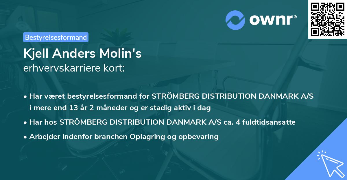 Kjell Anders Molin's erhvervskarriere kort