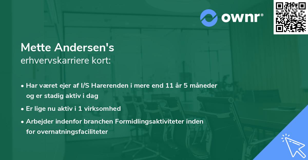 Mette Andersen's erhvervskarriere kort