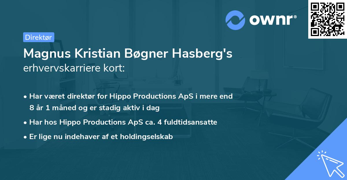 Magnus Kristian Bøgner Hasberg's erhvervskarriere kort