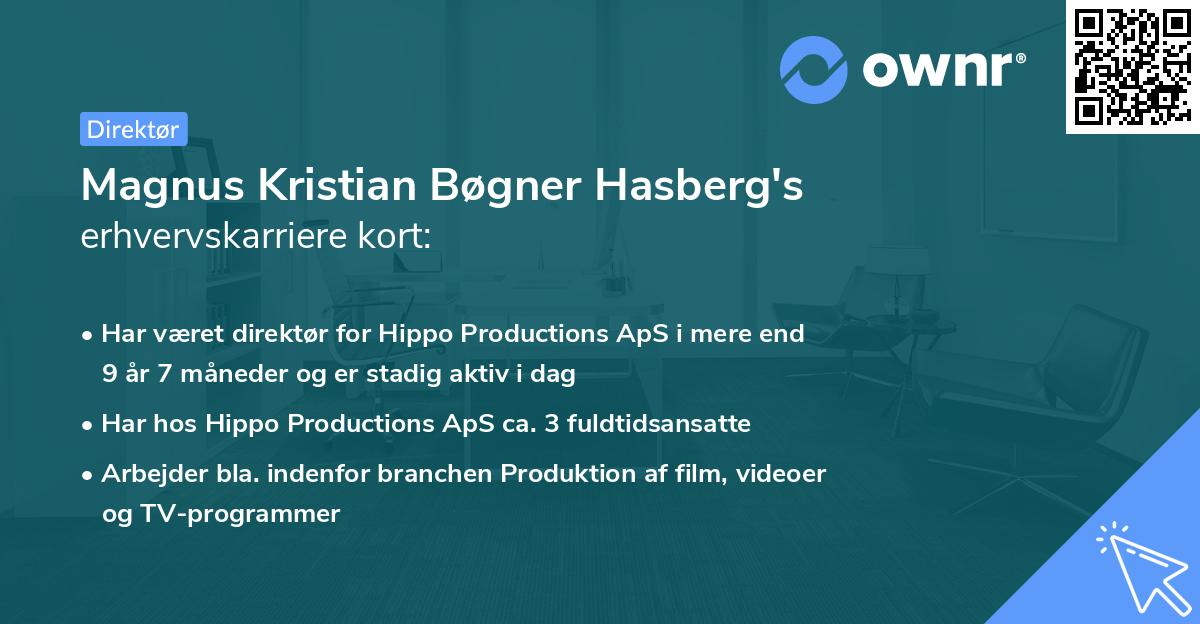 Magnus Kristian Bøgner Hasberg's erhvervskarriere kort