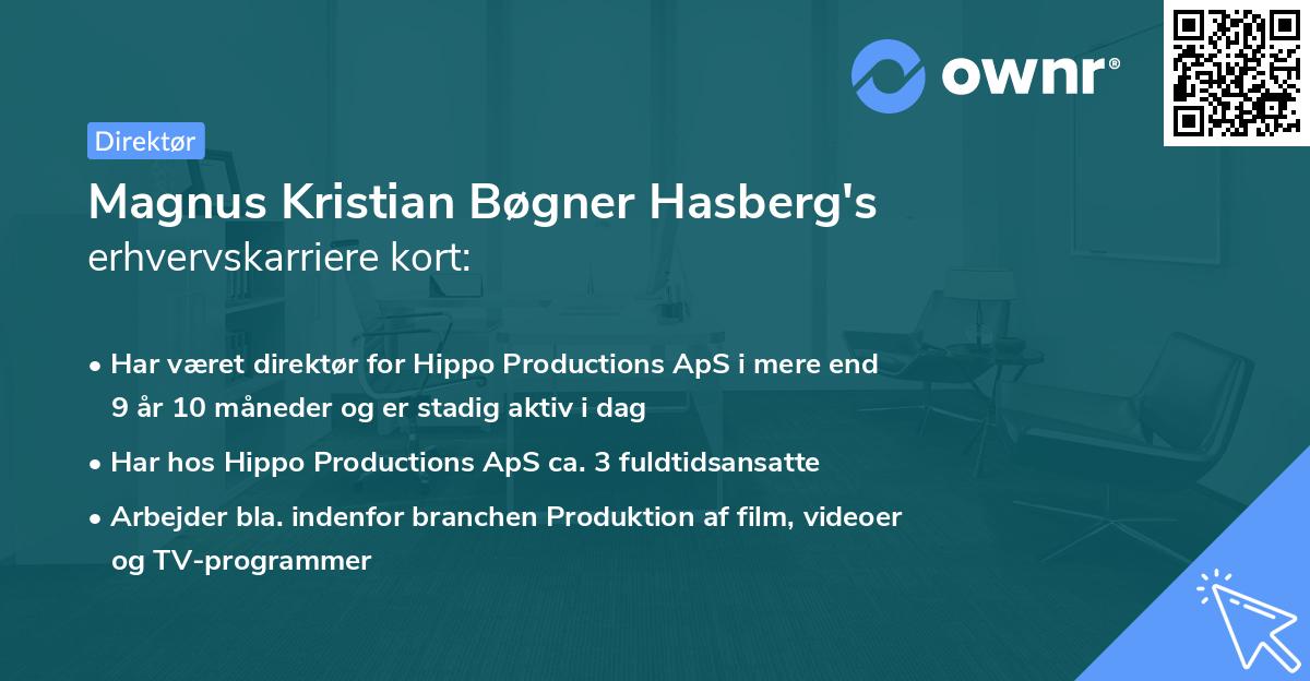 Magnus Kristian Bøgner Hasberg's erhvervskarriere kort