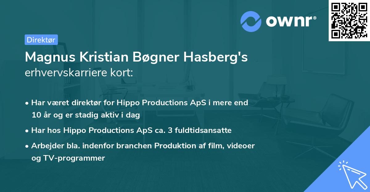 Magnus Kristian Bøgner Hasberg's erhvervskarriere kort