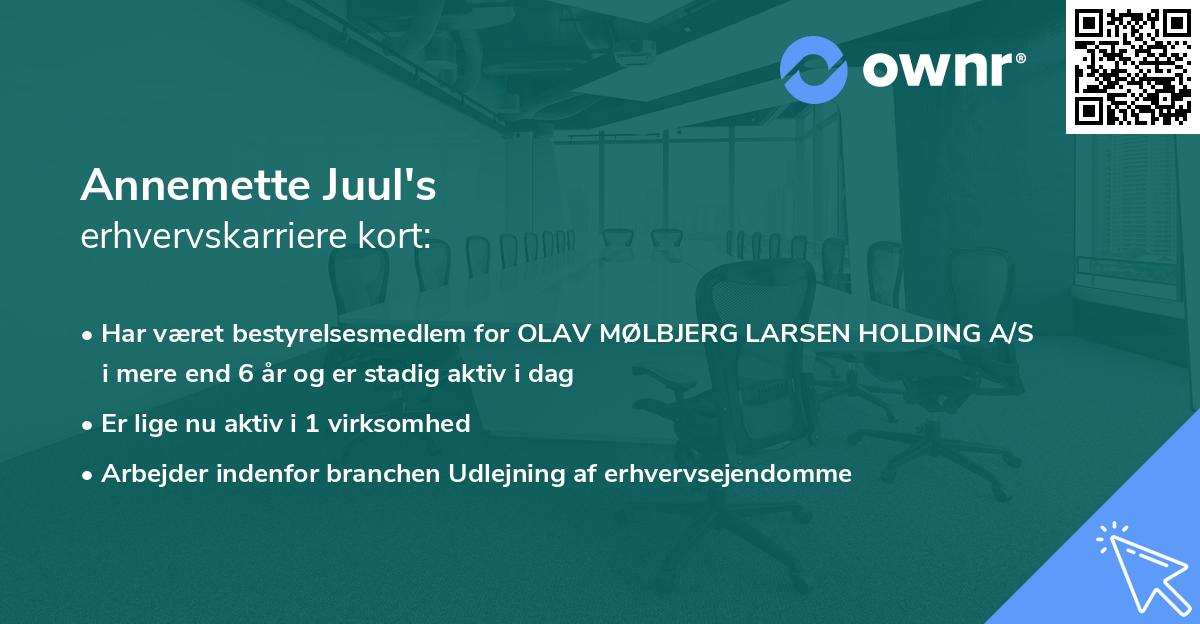 Annemette Juul's erhvervskarriere kort