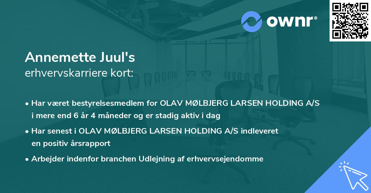 Annemette Juul's erhvervskarriere kort