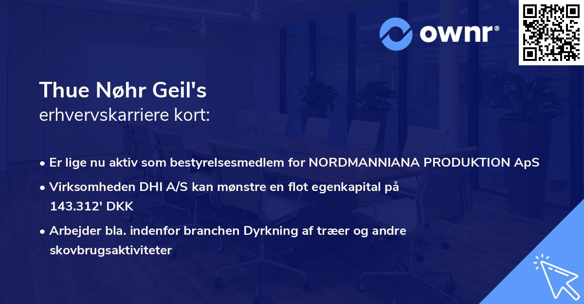 Thue Nøhr Geil's erhvervskarriere kort
