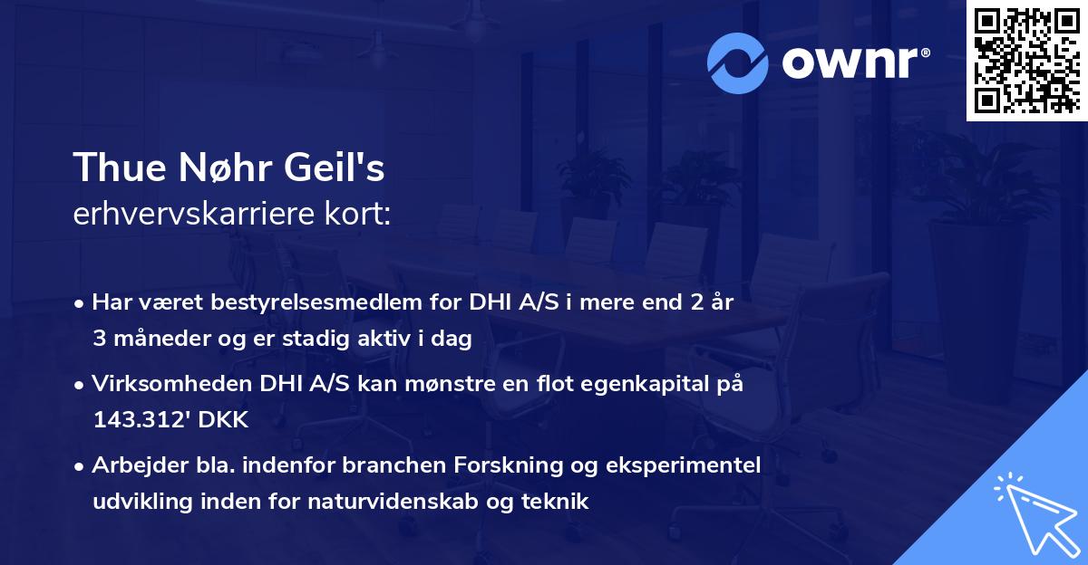 Thue Nøhr Geil's erhvervskarriere kort