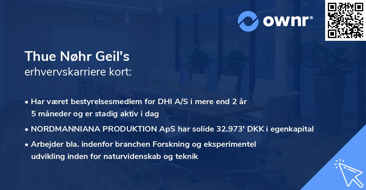 Thue Nøhr Geil's erhvervskarriere kort
