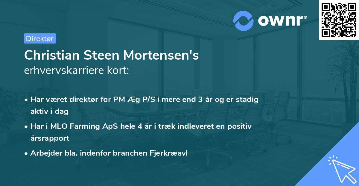 Christian Steen Mortensen's erhvervskarriere kort