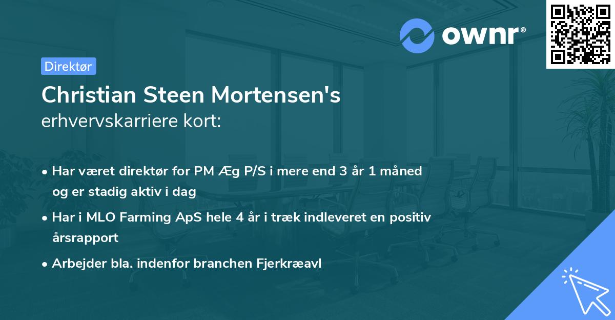 Christian Steen Mortensen's erhvervskarriere kort
