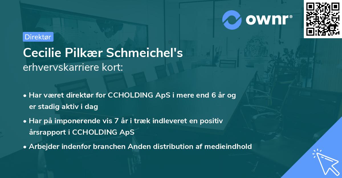 Cecilie Pilkær Schmeichel's erhvervskarriere kort