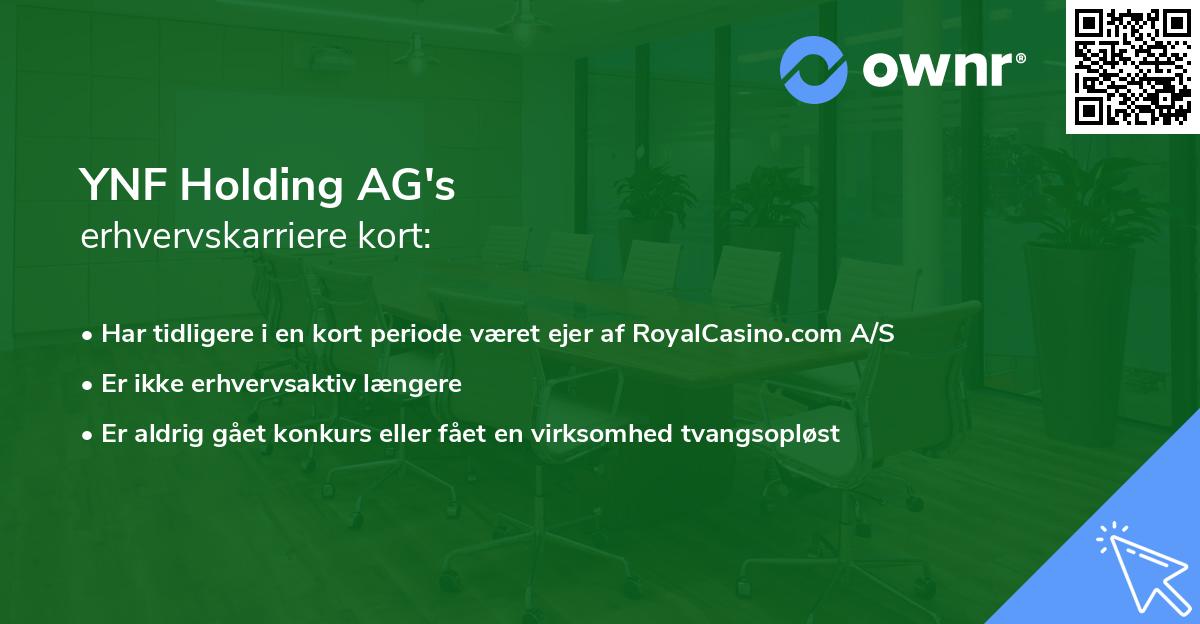 YNF Holding AG's erhvervskarriere kort