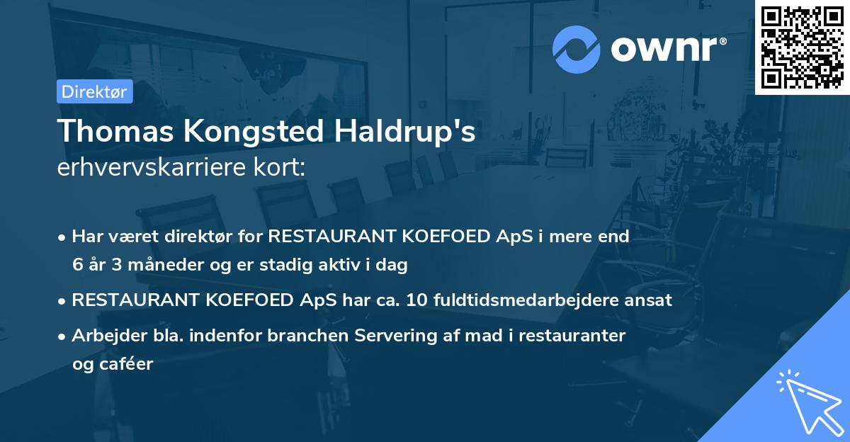 Thomas Kongsted Haldrup's erhvervskarriere kort