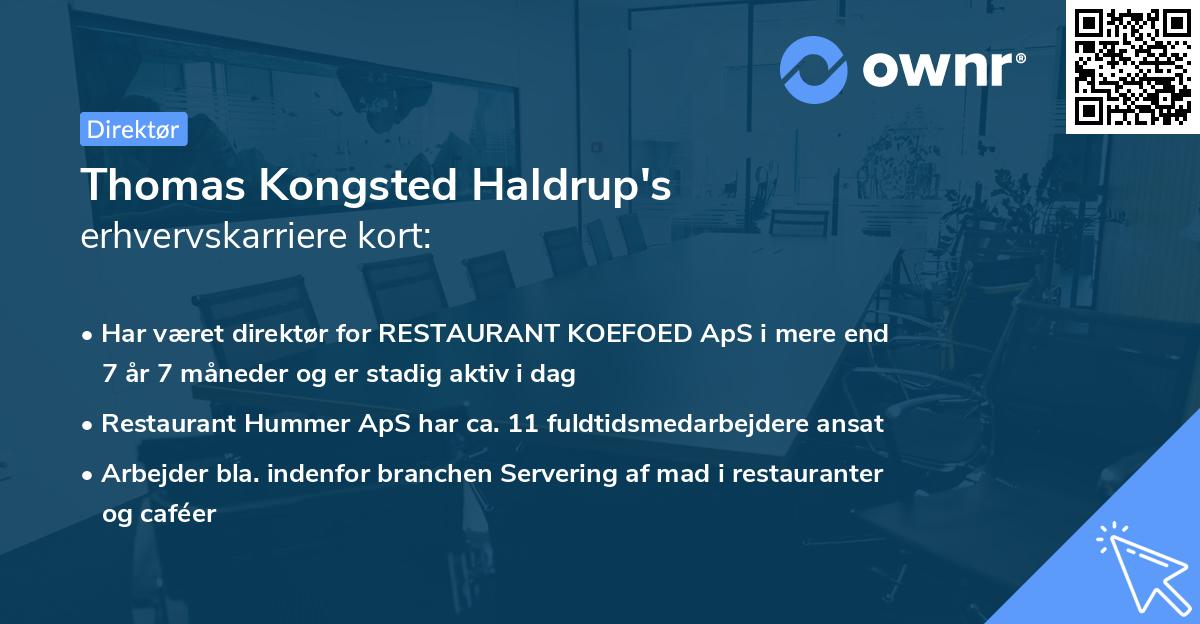 Thomas Kongsted Haldrup's erhvervskarriere kort