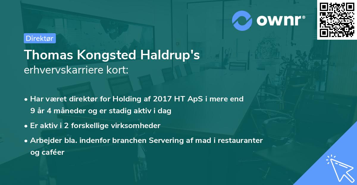 Thomas Kongsted Haldrup's erhvervskarriere kort