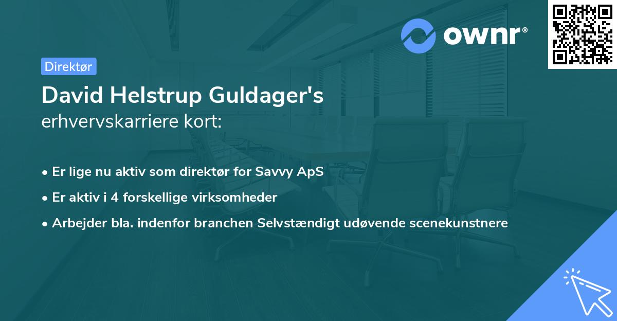 David Helstrup Guldager's erhvervskarriere kort