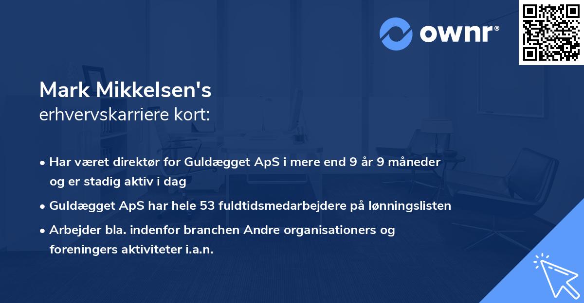 Mark Mikkelsen's erhvervskarriere kort