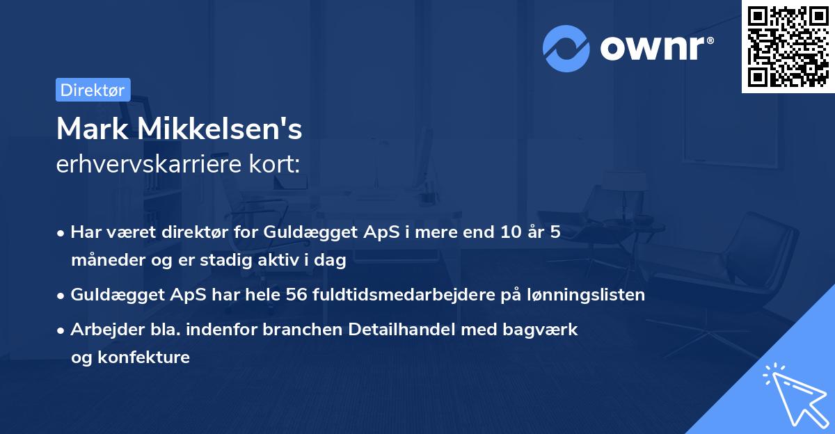 Mark Mikkelsen's erhvervskarriere kort