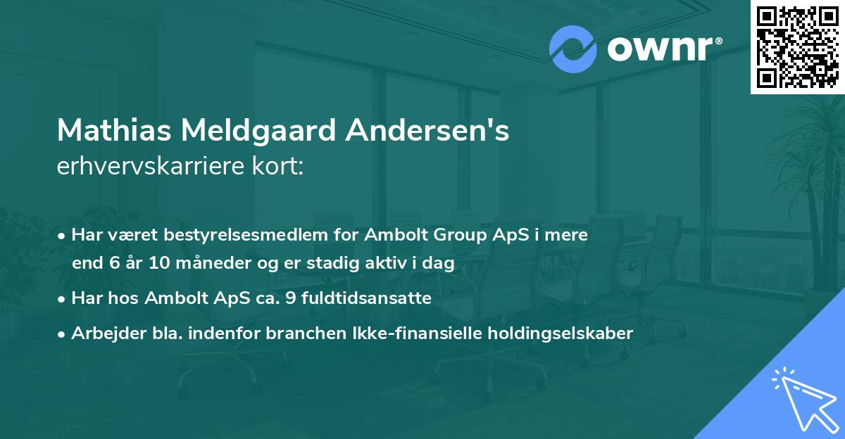 Mathias Meldgaard Andersen's erhvervskarriere kort