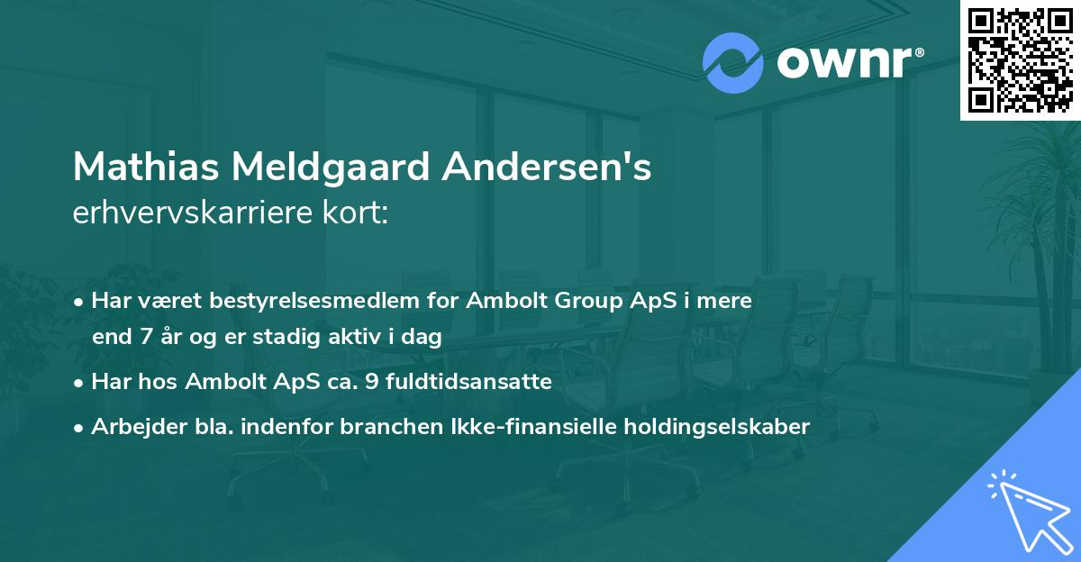 Mathias Meldgaard Andersen's erhvervskarriere kort