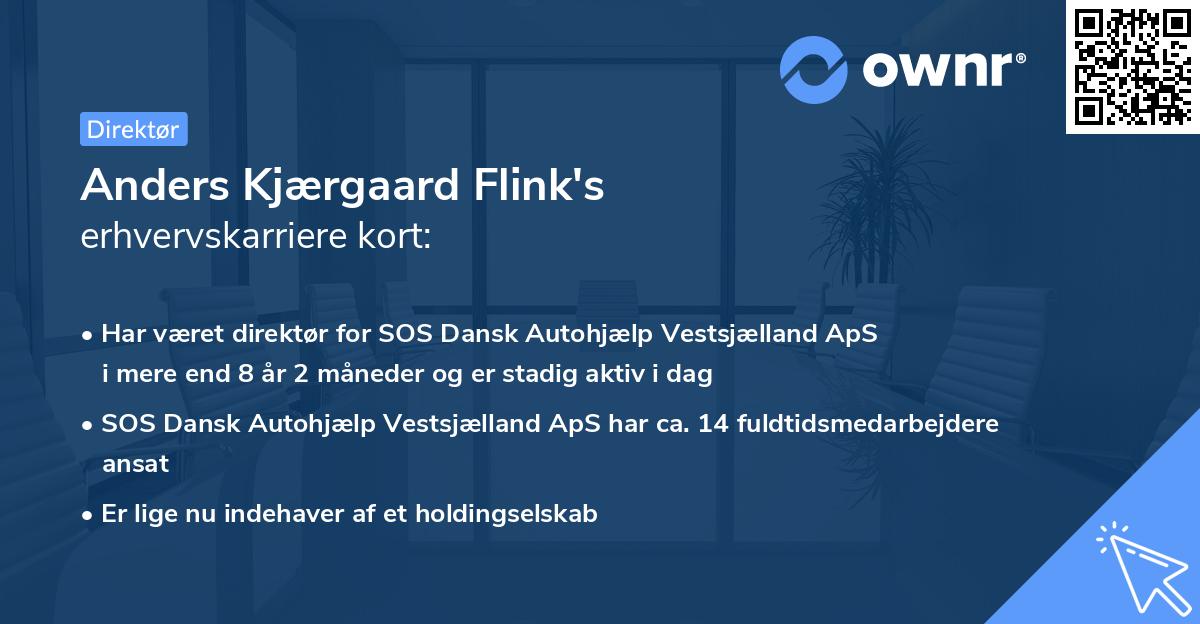 Anders Kjærgaard Flink's erhvervskarriere kort