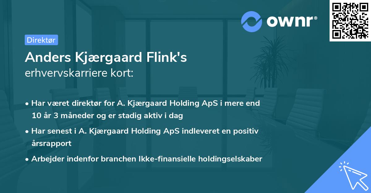 Anders Kjærgaard Flink's erhvervskarriere kort