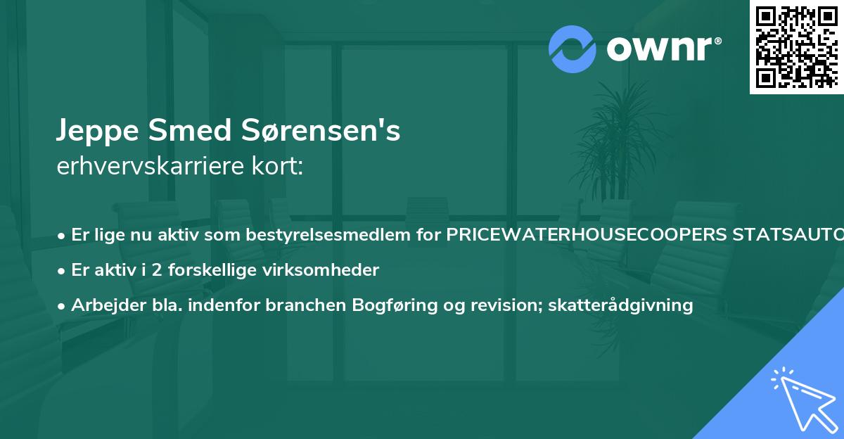 Jeppe Smed Sørensen's erhvervskarriere kort