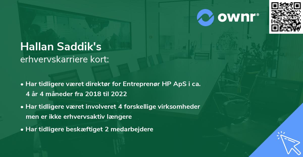 Hallan Saddik's erhvervskarriere kort