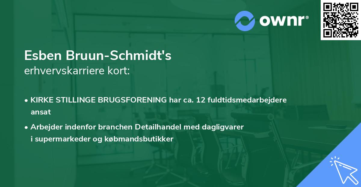 Esben Bruun-Schmidt's erhvervskarriere kort