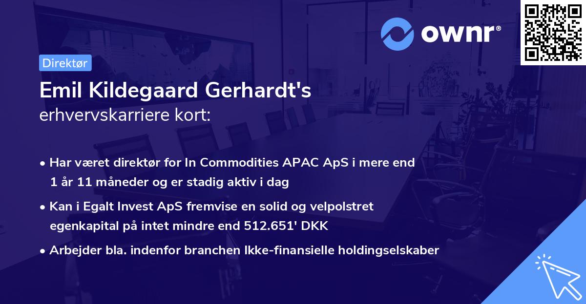 Emil Kildegaard Gerhardt's erhvervskarriere kort